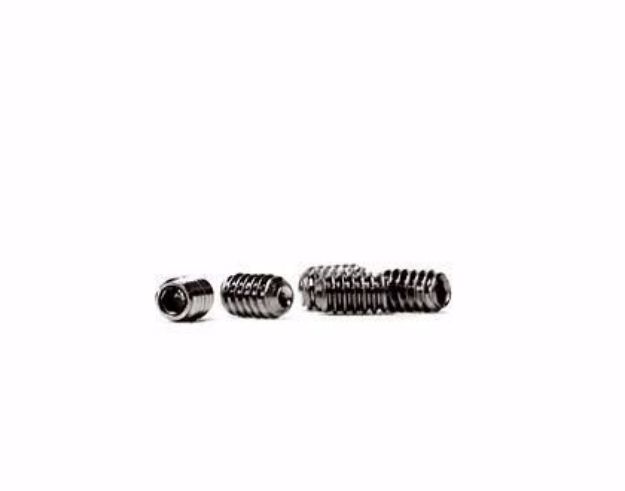 stainless steel fcs grub screws 