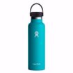 Picture of Hydro Flask 21 oz Standard Flex Cap